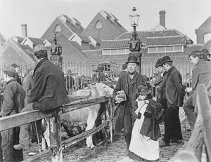 Britský vesnický dobytčí trh, viktoriánský, 19. století (fotografie) od English School