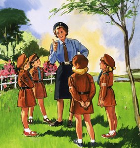 Hnědá sova a její smečka Brownie od English School