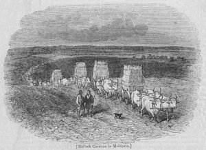 Bullock Caravan v Moldávii od English School