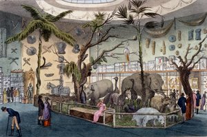Bullocks Museum, 22 Piccadilly, Londýn, z Ackermanns Repository of Arts, 1809 od English School