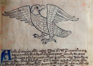 CCA-LitMs/D/10 fol. 13r Orel, z Bestiáře od English School