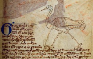 CCA-LitMs/D/10 fol. 14r Crane, od Bestiáře od English School