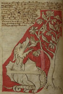 CCA-LitMs/D/10 fol. 23v The Perindens Tree, z Bestiáře od English School