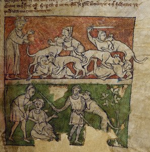 CCA-LitMs/D/10 fol. 6r Pes, z Bestiáře od English School