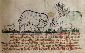 CCA-LitMs/D/10 fol. 8r Ovce, z Bestiáře od English School