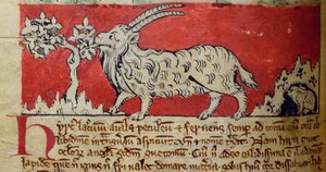 CCA-LitMs/D/10 fol. 8v Koza, z Bestiáře od English School