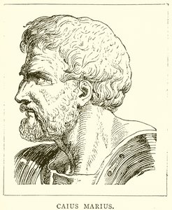 Caius Marius od English School