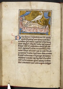 Pták Caladrius - Bestiář, Royal MS 12 C XIX, f.47v od English School