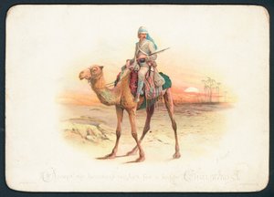 Camel Corps vánoční přání od English School