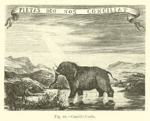 Camillo Caula od English School