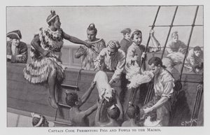 Kapitán Cook představuje prasata a drůbež Maorům (litho) od English School