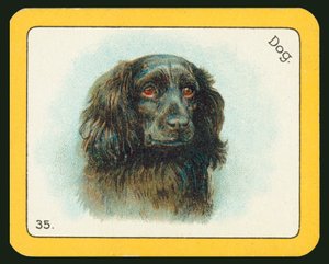 Karta ze hry The Black Cat Greyhound Racing Game (barevná litografie) od English School