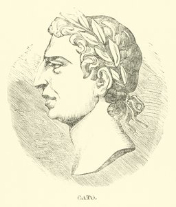 Cato od English School