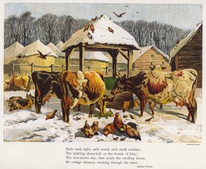 Dobytek a kuřata na zasněženém dvorku (barevná rytina) od English School