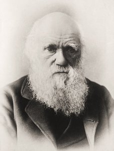 Charles Darwin od English School