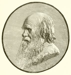 Charles Darwin od English School