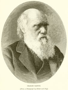 Charles Darwin od English School