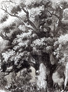 Karel II. (1630-85) ukrytý v dubu, 14. října 1651 od English School