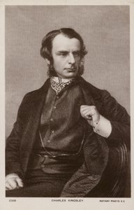 Charles Kingsley (1819-1875), anglický duchovní, historik a spisovatel (litografie) od English School
