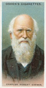 Charles Robert Darwin od English School