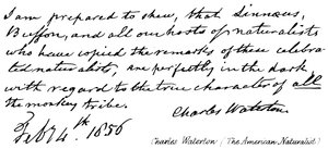 Charles Waterton (Americký přírodovědec) od English School