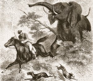 Pronásledován slonem, ilustrace z Obrazového vydání života a objevů Davida Livingstona od J. Ewinga Richieho, vydalo nakladatelství A. Fullarton & Co., 1876. od English School