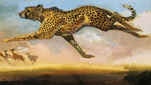 Gepard od English School