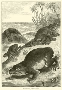 Cheirotherium nebo Hand-Animal (rytina) od English School