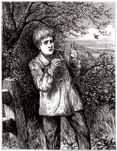 Dítě vyděšené včelou - ilustrace, začátek 20. od English School