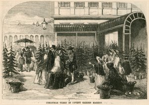 Vánoční stromky na trhu Covent Garden, Londýn od English School