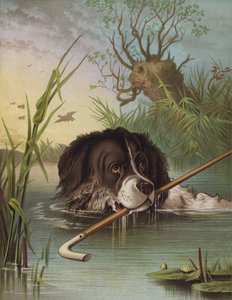 Clever Dash (chromolitho) od English School