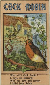 Kohout Robin od English School