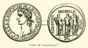 Mince Caligula od English School