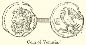 Münze von Venusia von English School