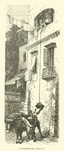 Costermonger, Neapol od English School