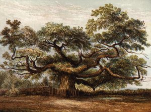 Crouch Oak, Addlestone od English School