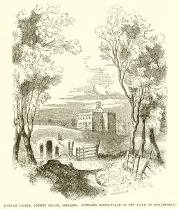 Hrad Dangan, hrabství Meath, Irsko. Údajné místo narození vévody z Wellingtonu od English School