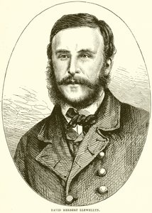 David Herbert Llewellyn od English School