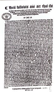Prohlášení lordů označující hraběte z Bothwellu jako vraha lorda Darnleyho, 1567 (pero a inkoust na papíře) od English School