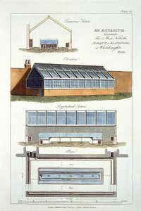 Design for An Aquarium, popravený pro markýze z Blandfordu ve Whiteknights, 1806 od English School
