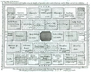 Design pro dokončenou kuchyňskou zahradu, z New Principles of Gardening, Betty Langley, 1726 od English School
