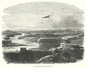 Desolation of Babylon (rytina) od English School