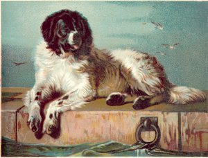 Pes sedící na okraji moře (chromolit) od English School