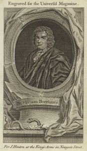 doktor Herman Boerhaave od English School