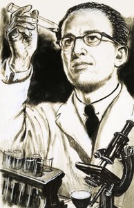 Dr Jonas Salk, tvůrce vakcíny proti obrně, se dívá na zkumavku od English School