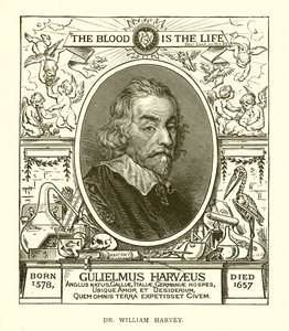 Dr. William Harvey od English School