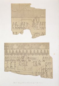 Kresba býka a lesa s jeleny a prasaty, Kouyunjik, deska 12 z Ninive a jeho pozůstatky od Austena Henryho Layarda (1817-94) vydáno 1849 od English School