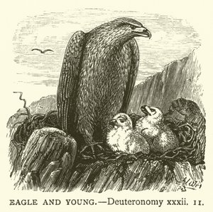 Eagle and Young, Deuteronomium, xxxii od English School