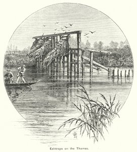 Aalfallen auf der Themse (Gravur)