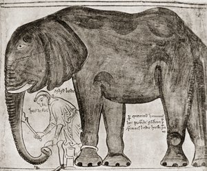 Slon poslaný svatým Ludvíkem Jindřichovi III., z knihy "Historia Major", reprodukované v "English Historians". od English School